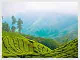 Munnar sightseeing