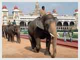 Mysore Palace