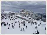 Shimla