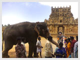 Tanjore