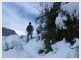 Pindari Glacier Trekking Tour