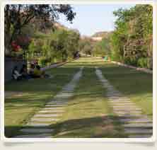 Vidhyadhar Garden